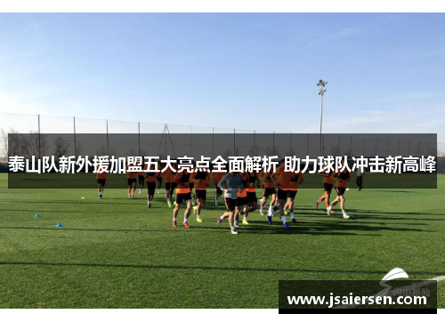 泰山队新外援加盟五大亮点全面解析 助力球队冲击新高峰